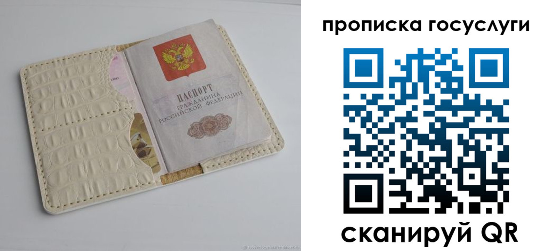 прописка в Тамбове